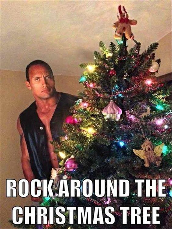 Funny Memes For Christmas for Family
