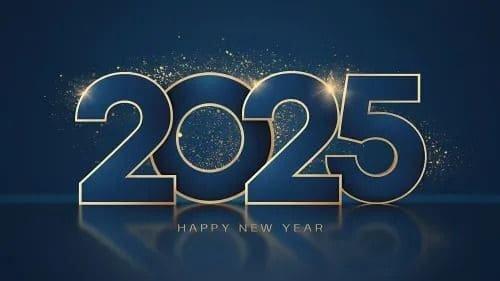 Happy New Year 2025 Funny GIF