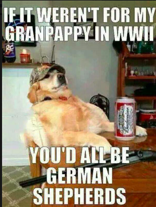 Memorial Day Weekend Funny Memes Photo