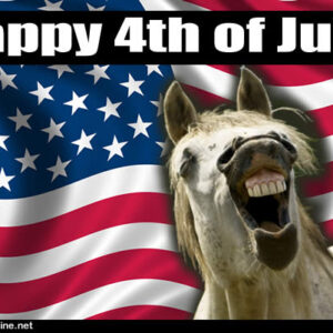 4th of July Funny Quotes