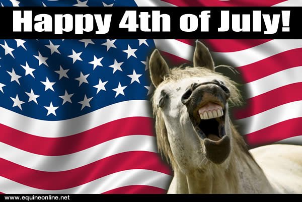 4th of July Funny Quotes