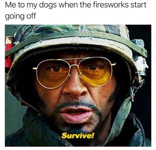 4th of July Memes (1)