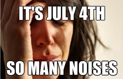 4th of July Memes Images (1)