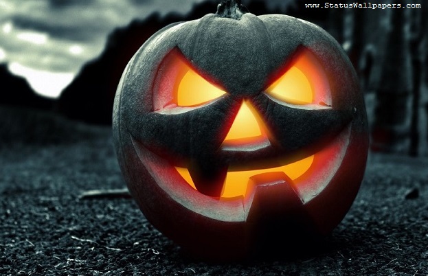 Best Halloween 2024 Background Pumpkin Images