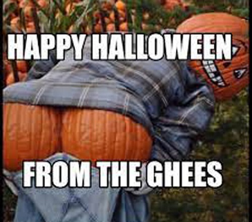 Halloween 2024 Memes Pictures Free to Download