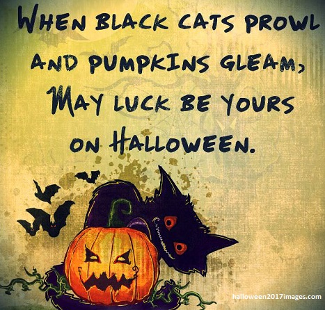 Halloween 2024 Spooky Quotes