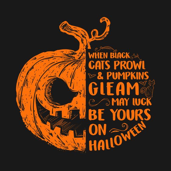 Best Halloween Witch Funny Sayings for Instagram