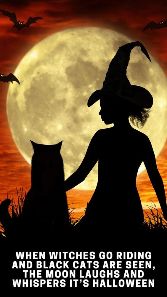 Best Halloween Witch Funny Sayings