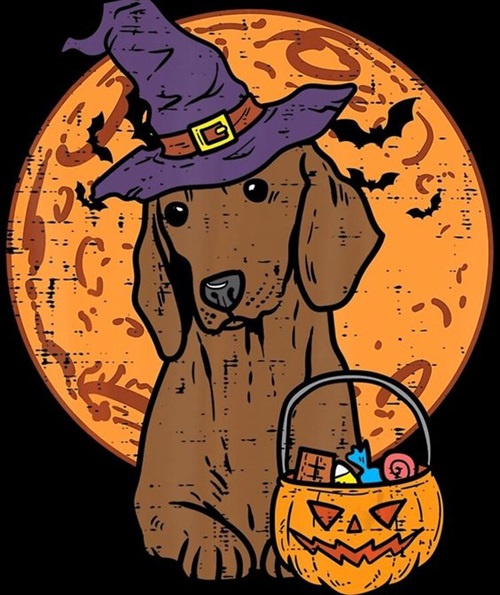 Funny Halloween Dog Witch Images Free