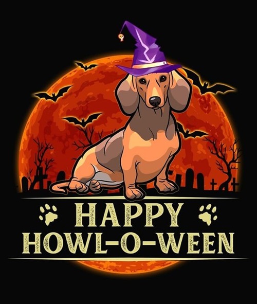 Funny Halloween Dog Witch Images