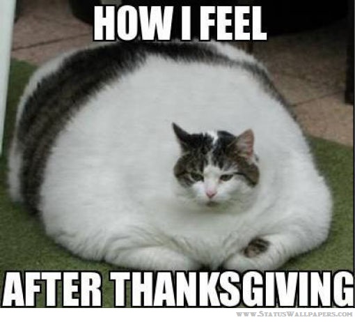 Funny Thanksgiving Day Memes for Instagram