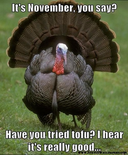 Funny Thanksgiving Day Memes