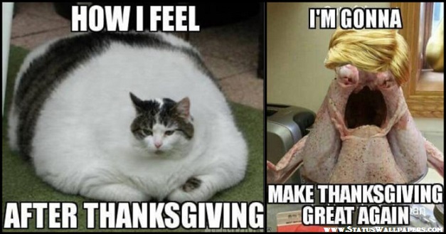 Funny Thanksgiving Meme for Facebook
