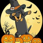 Halloween Dog Witch Images