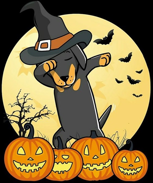 Halloween Dog Witch Images