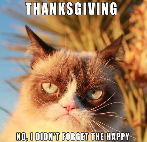 Hilarious Thanksgiving Memes Images for Facebook