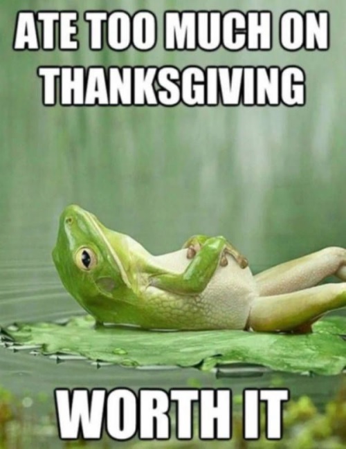 Hilarious Thanksgiving Memes Images for Instagram