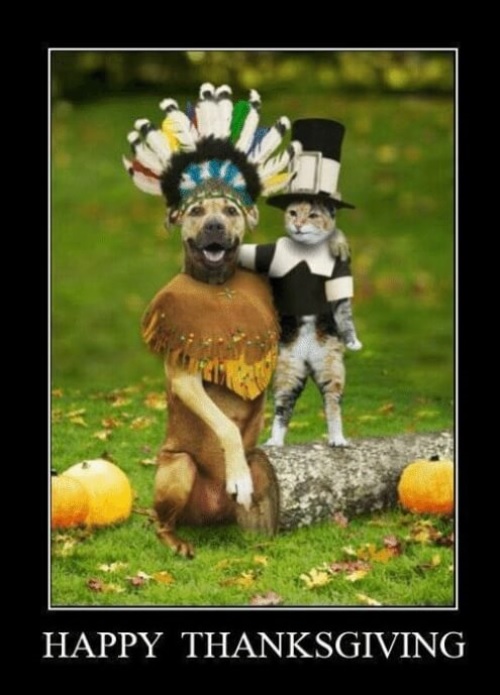 Hilarious Thanksgiving Memes Picture