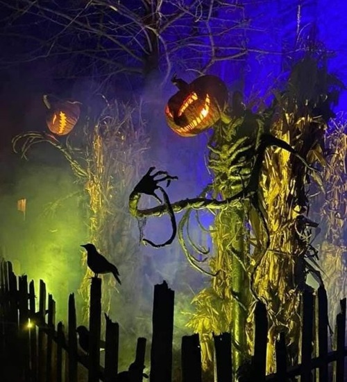 Scary Happy Halloween 2024 Pumpkin Images Wishes