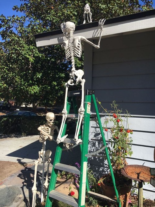 Spooky Spooky 2023 Skeletons Decorations Ideas