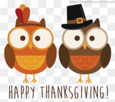 Thanksgiving Clipart Turkey Funny Images