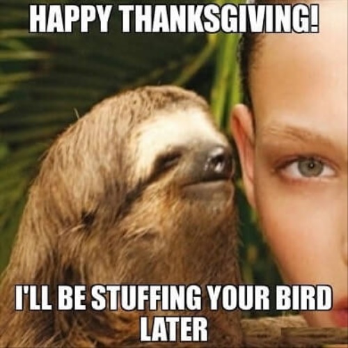 funny and Hilarious Thanksgiving Memes Images