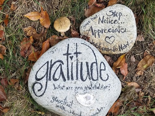 Happy Thanksgiving Gratitude Images