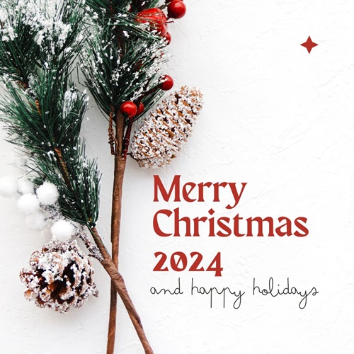 Cute Merry Christmas 2024 Greetings Cards for Family