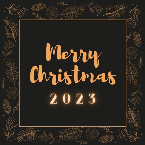Funny Merry Christmas Greetings 2023