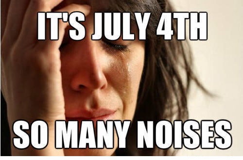 4th of July Memes Images Free
