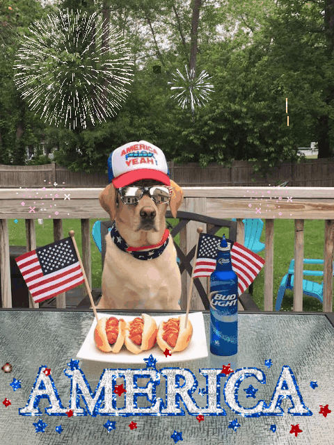 American Fourth of July Animated Images