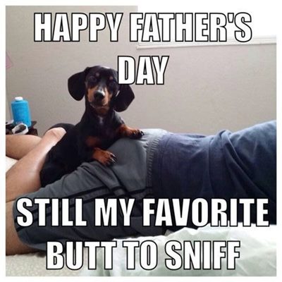 Funny Fathers Day Memes Images for Daddy