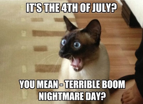 Happy 4th of July Memes Images for Facebook