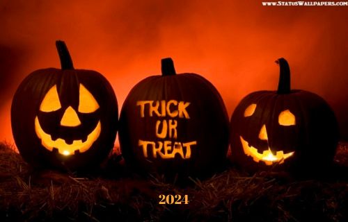 Halloween 2024 Funny Pictures Quotes