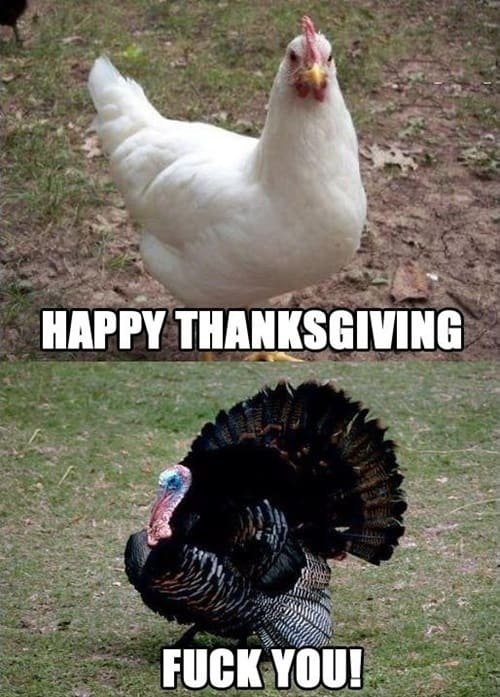 Thanksgiving Funny Memes Images for Facebook