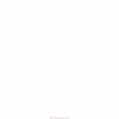 Happy Halloween Memes Gif
