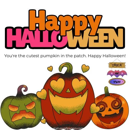 Happy Halloween Funny Wallpapers