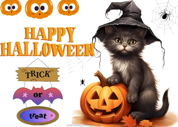 Spooky Halloween Messages and Wishes