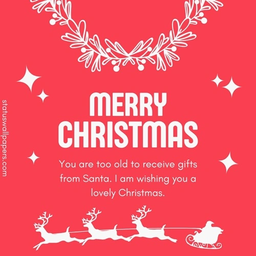 Funny Christmas Gif Wishes