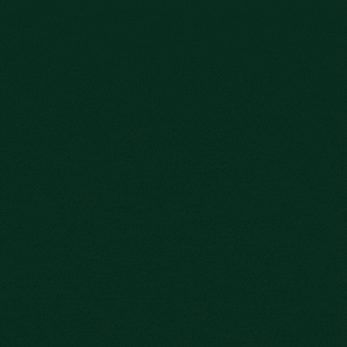 Funny Merry Christmas Gif