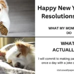 Happy New Year 2026 Meme Funny Wishes Images
