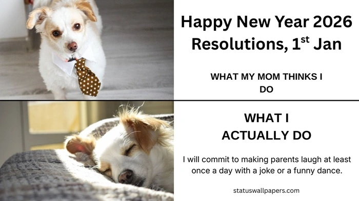 Happy New Year 2026 Meme Funny Wishes Images