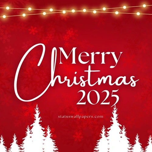 Merry Christmas 2025 America Wishes