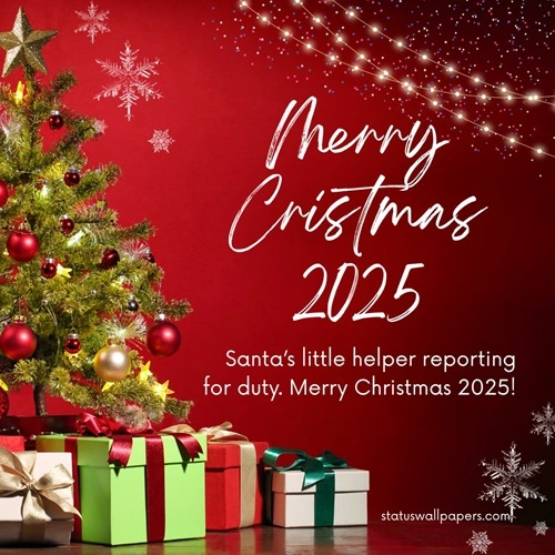 Merry Christmas 2025 Captions Merry Christmas 2025 Captions