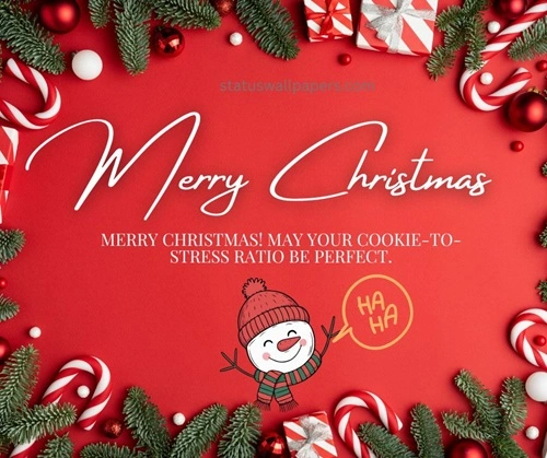 Merry Christmas Memes for Friends and Family