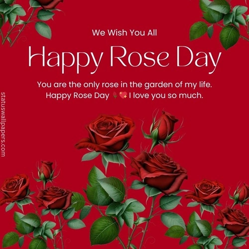 Happy Rose Day Wishes and Quotes