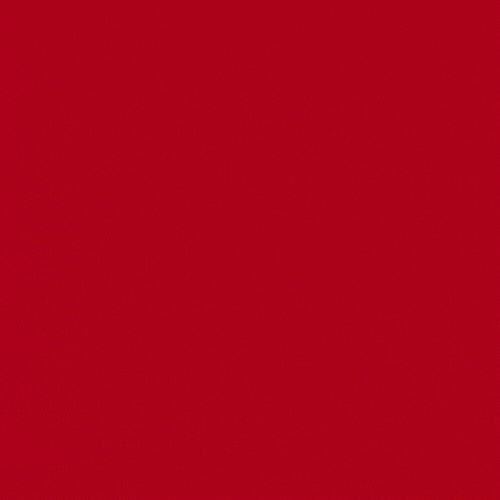 Rose Day Gif Wishes Images