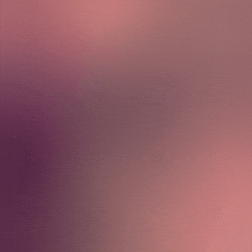 Valentines Day 2026 Gif Images