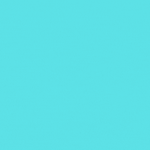 Valentines Day 2026 Gif for Friends