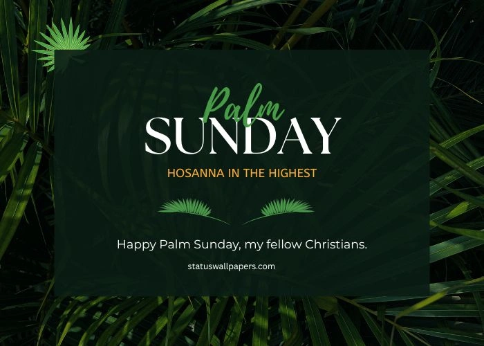 Palm Sunday Messages From Bible